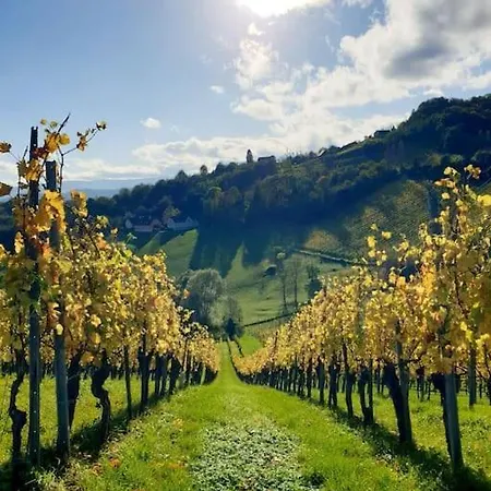 *relax Hochgrassnitzberg* In Den Suedsteirischen Weinbergen *