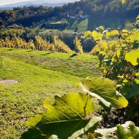 Apartment *relax Hochgrassnitzberg* In Den Suedsteirischen Weinbergen
